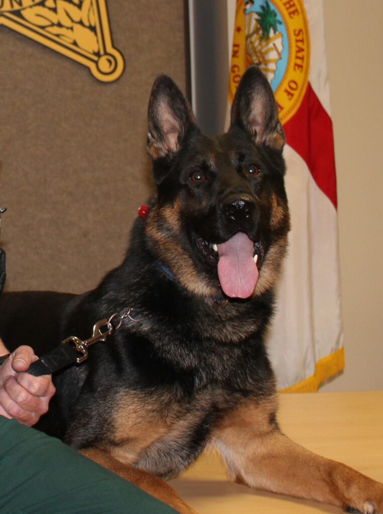 Canine Deputy Drago Passes Away