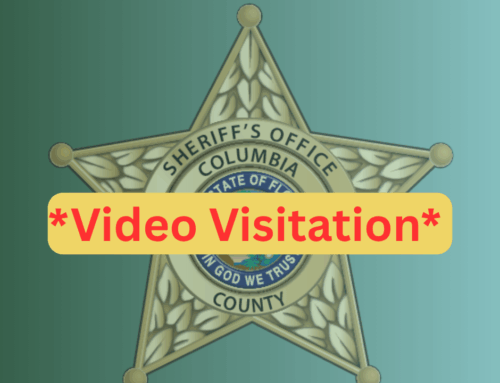 INMATE VISITATION AND TELEPHONE USAGE